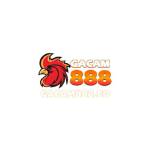 gacam888 co Profile Picture