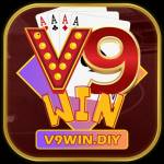 V9win Diy Profile Picture