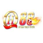 QH88vi org Profile Picture