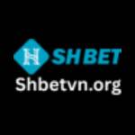 shbet vnorg Profile Picture