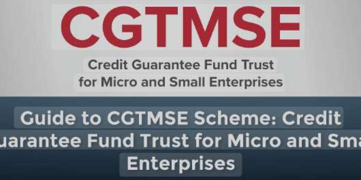 Government Schemes for MSMEs: The CGTMSE Impact