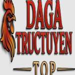 dagatructuyen top Profile Picture