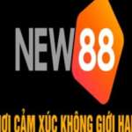 New88 Nhà cái uy tín hàng đầu châu Á Profile Picture