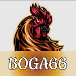 BOGA66 Casino Profile Picture