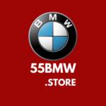 55BMW Profile Picture