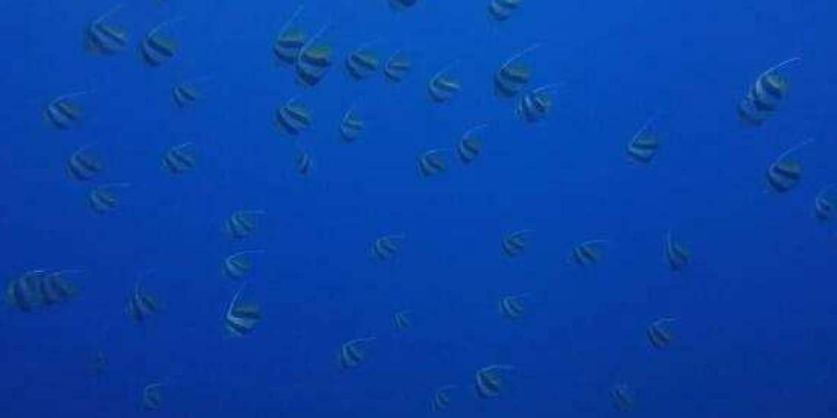 National Training Council - Marshall Islands