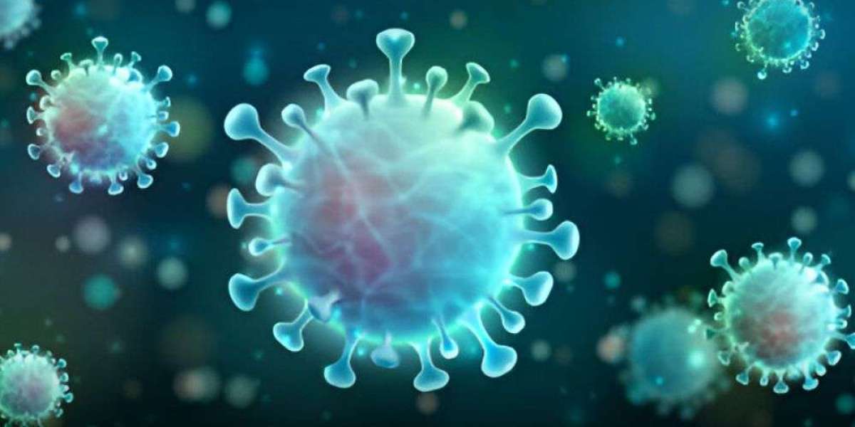 3D Cell Culture Market by Share, Size, Revenue, Top Manufacturers and Forecast