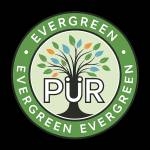 Pur Evergreen Profile Picture
