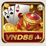 Vnd88 Vnd88 Profile Picture