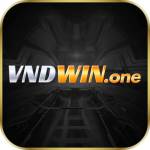 VNDWIN Profile Picture