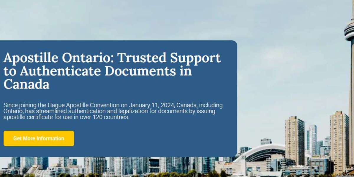 Tips for choosing a service for preparing documents for international use