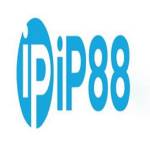 ip88 vin Profile Picture