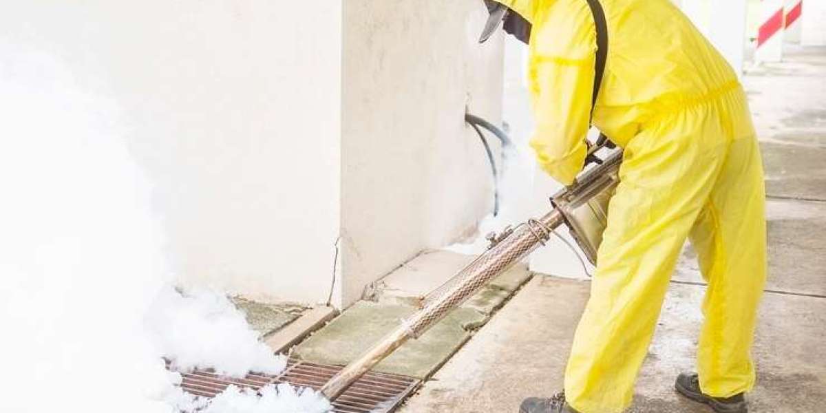 The Homeowner’s Guide to Pest Control Service in Bakersfield, CA