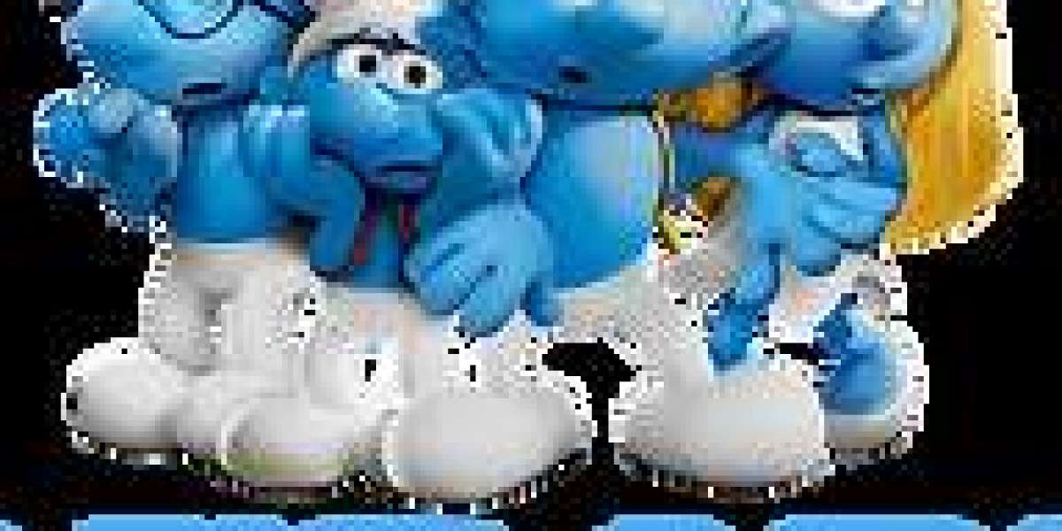 The Importance of Genuine Software Solutions (정품알) in Secure Online Gaming