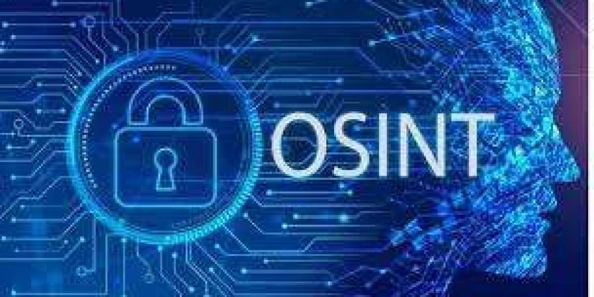 The Critical Role of Risk Management in Business Success: BlackBOX OSINT