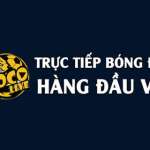 soco live Profile Picture