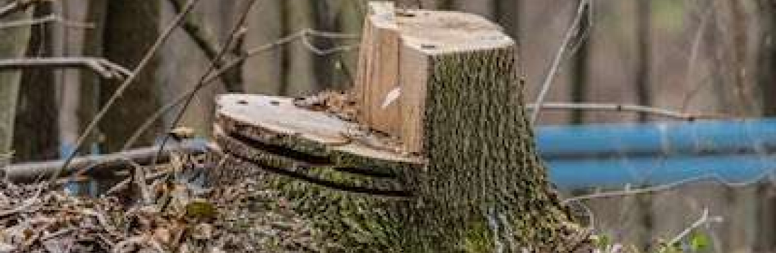 Mcauley Tree Surgery Cover Image