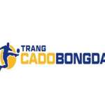 Trang Cá Độ Bóng Đá Profile Picture