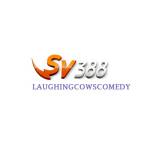 SV388 laughing Profile Picture
