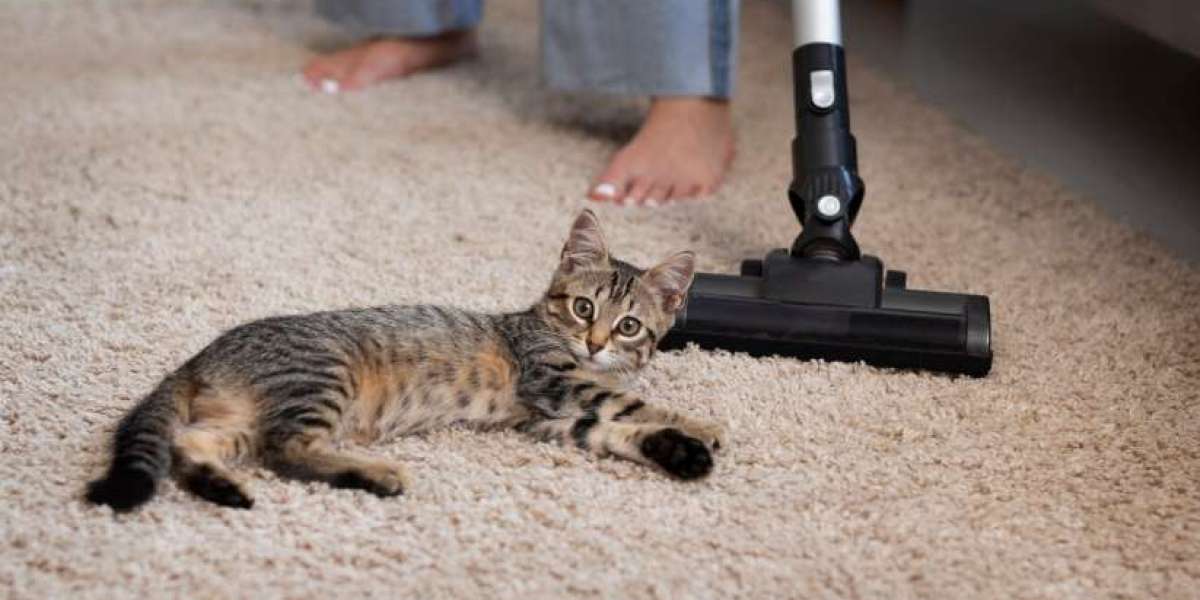 Ultimate Guide to Removing Pet Hair from Furniture and Floors