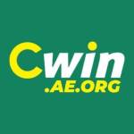 CWIN Việt Nam Profile Picture