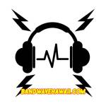 Rock Band Hawaiian Shirts Only at Bandwavehawaii com Profile Picture