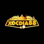 Xocdia88 How Profile Picture