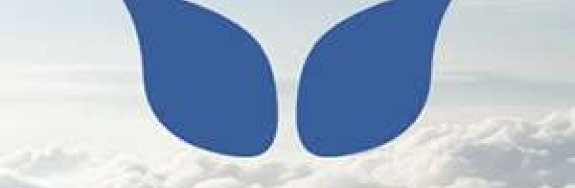 Fly high URB Cover Image