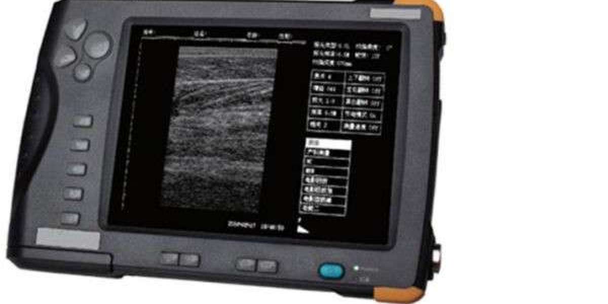 Handheld Ultrasound Machine for Veterinary | SIFSOF California