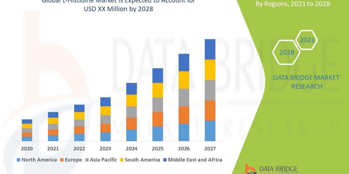 L-Histidine Sector: Opportunities and Analysis Period 2025 - 2028