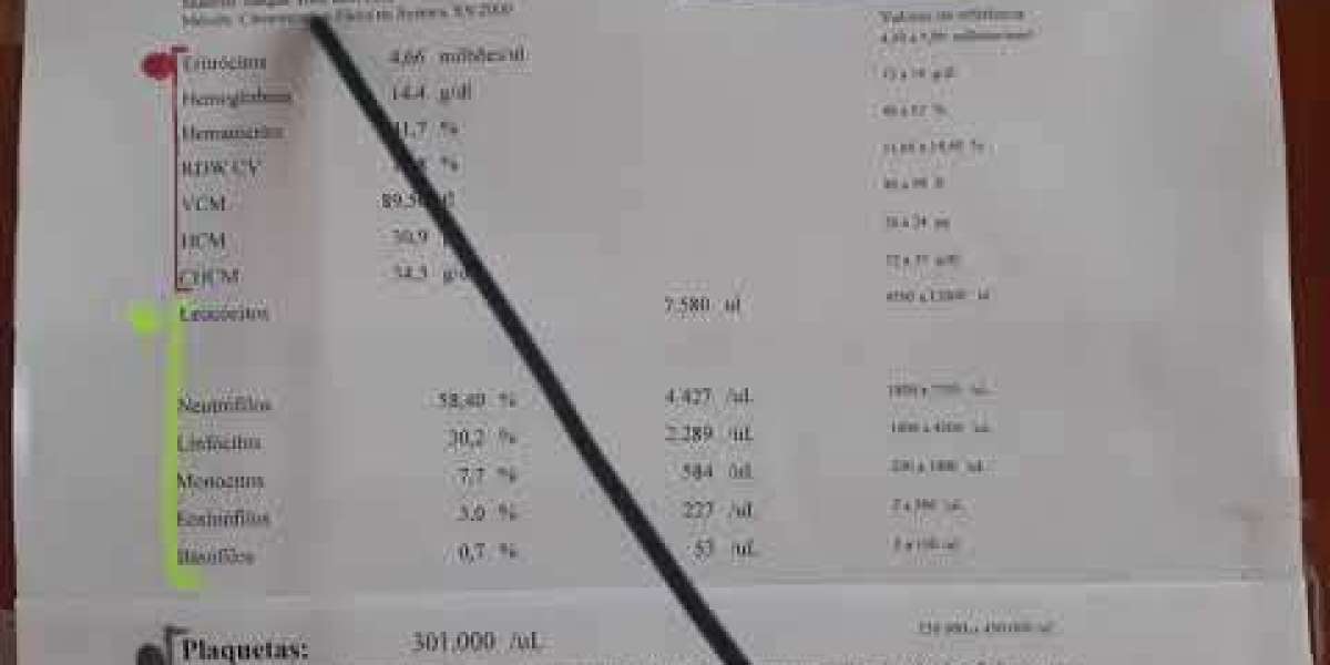 Perfil dermatológico em animais com inflamações recorrentes: sinais e cuidados