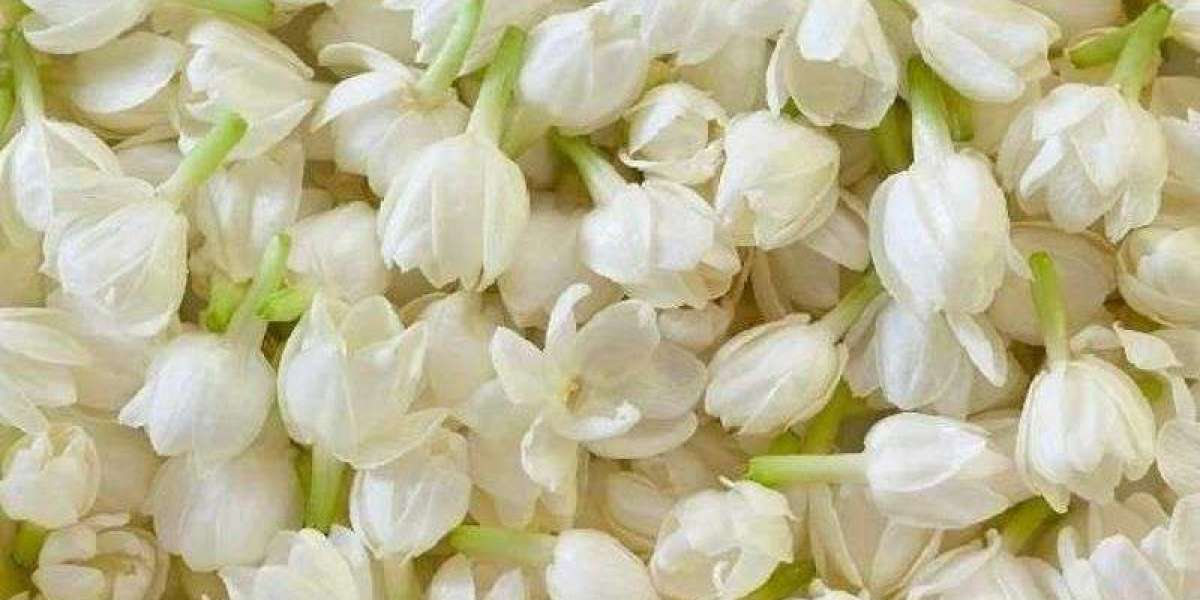  Lưu ý khi xem kết quả xổ số ba miền bạn không được quên