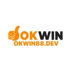 Okwin88 Dev Profile Picture