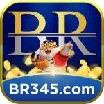 BR345 Profile Picture