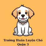 Trường Huấn Luyện Chó Quận 3 Profile Picture