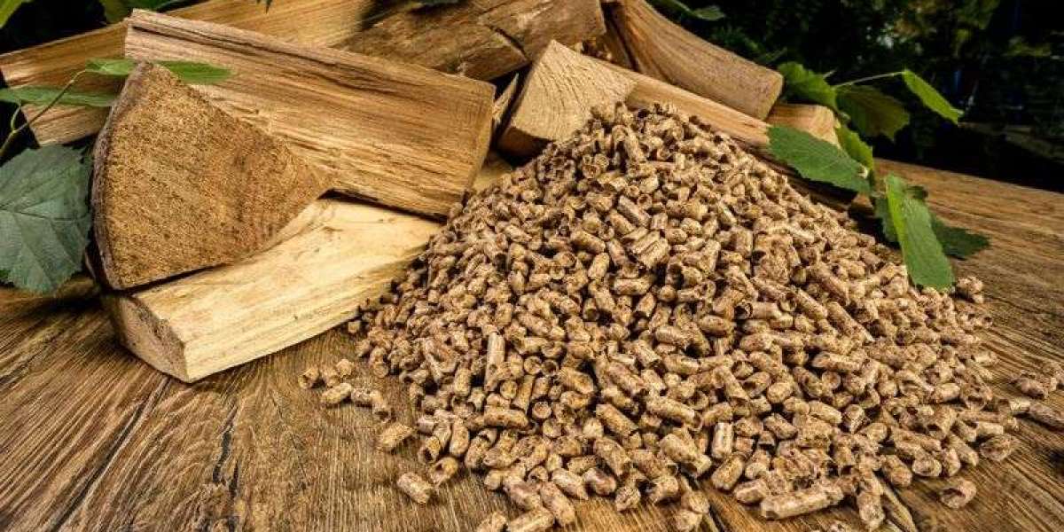 Biomass Pellets Manufacturing Plant Setup Cost | Detailed Project Report and Business Plan