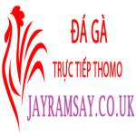 Đá Gà Trực Tiếp Thomo Profile Picture