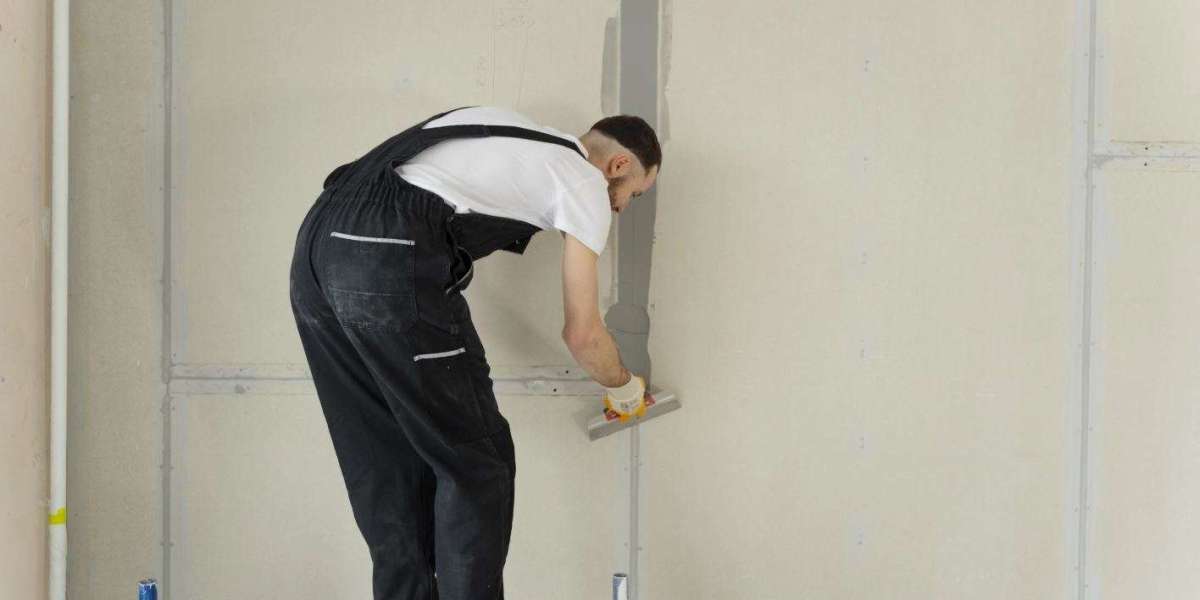 Elevate Your Home with Master Painters in Wellington and Auckland
