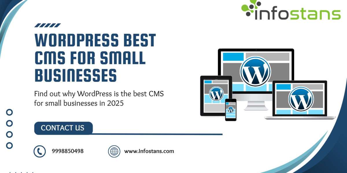 WordPress is the Best CMS for Small Businesses in 2025