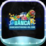 bancadoithuongvn Profile Picture