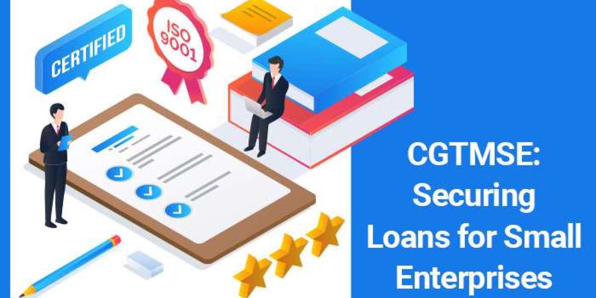 Collateral-Free Loans India: CGTMSE Role