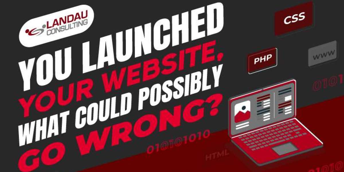 You Launched Your Website, What Could Possibly Go Wrong?