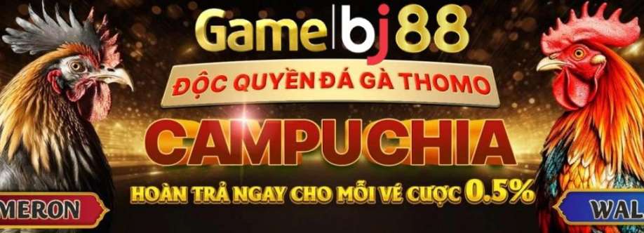BJ38 zone Cover Image