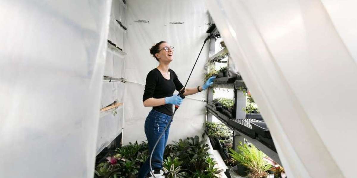 The Essential Role of Exterior Cleaning and Professional Exterior Cleaning Services in Property Maintenance