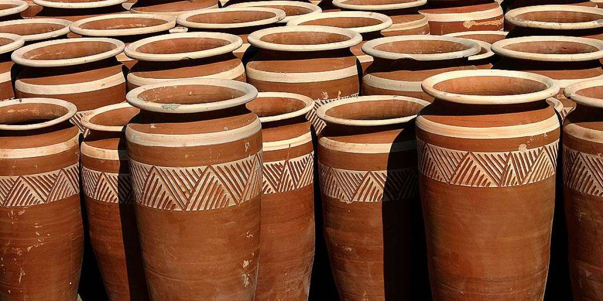 Choosing the Perfect Pots for Olive Trees in the UK