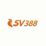 SV388 Profile Picture