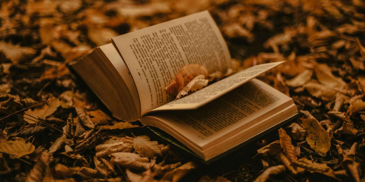 The Complete Guide to Self-Publishing: From Manuscript to Market with Book Publish Hub