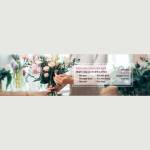 shophoatuoi haiphong Profile Picture