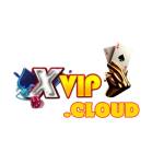 xvipconggame Profile Picture