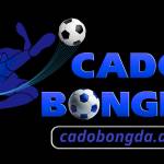 Cá độ bóng đá Nền Tảng Cá Cược Profile Picture